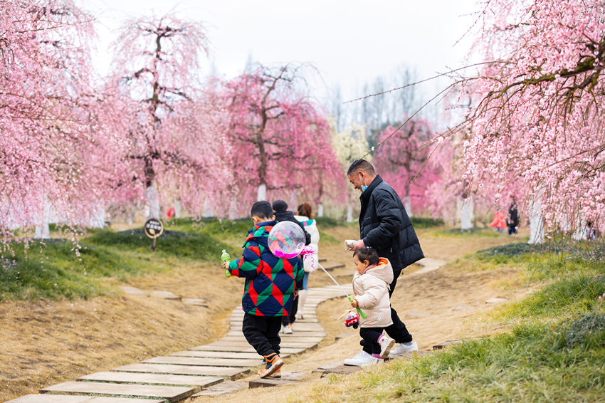 ????? ??????? ????? ?? ?????? ???????