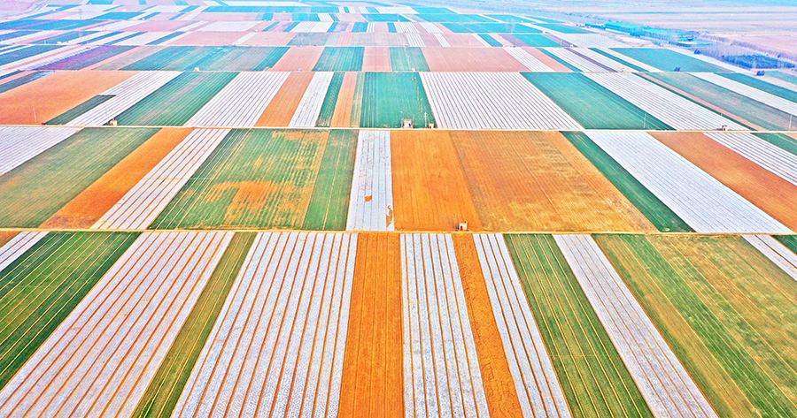 ???????????:??? ????? ?????? ?????? ??? ???? ????? ??????