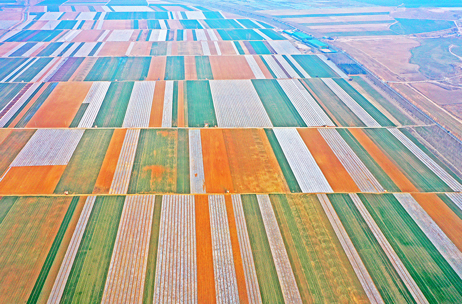 ???????????:??? ????? ?????? ?????? ??? ???? ????? ??????