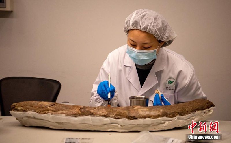 ???? ?????????? ???? ????? ??????? ???? ?? ??? ???? ????