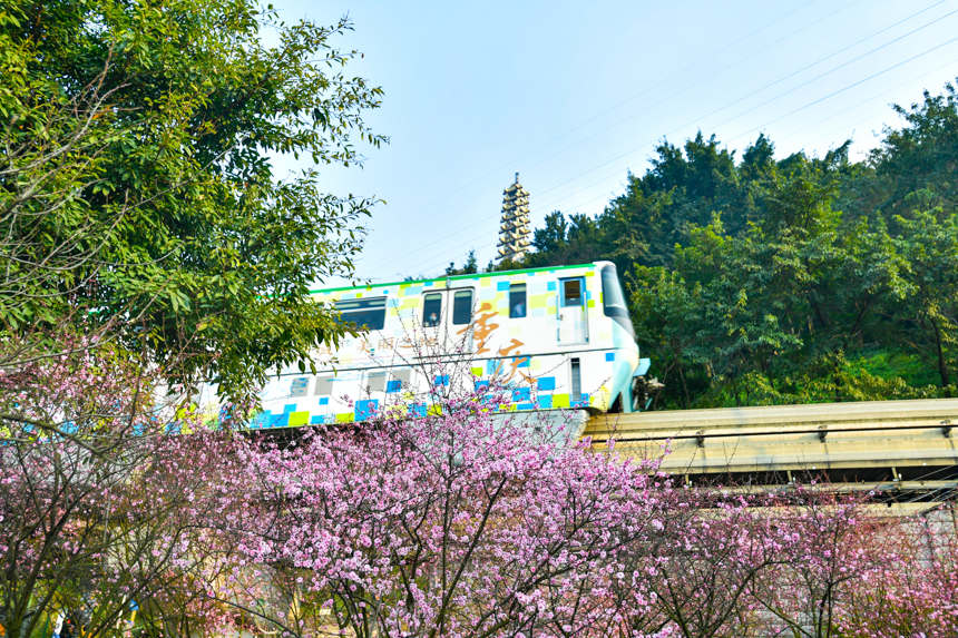 ??? ??????.. ?????? ???? ?????????? ????? ??? ??????