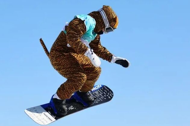 ?????? ?????? ???? ????? ????? ????? ??????? ????? ???????? ????????? ???????