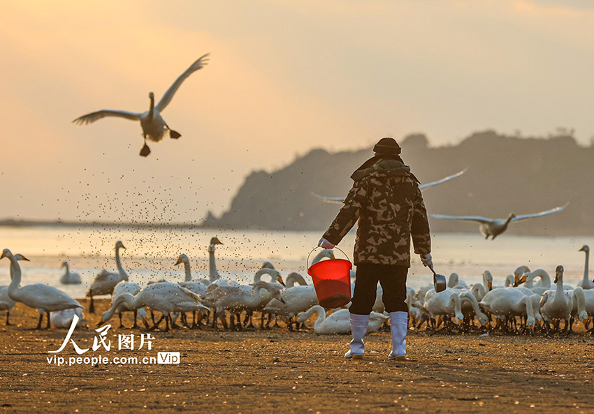 ?????????? ???????: ????? ????? ????? ??????