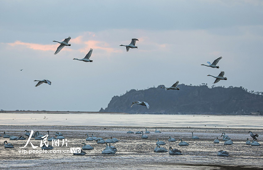 ?????????? ???????: ????? ????? ????? ??????