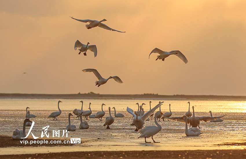 ?????????? ???????: ????? ????? ????? ??????