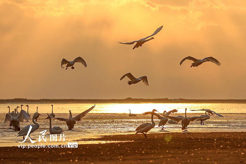 ?????????? ???????: ????? ????? ????? ??????