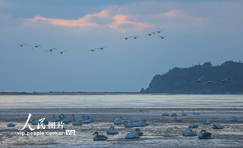 ?????????? ???????: ????? ????? ????? ??????