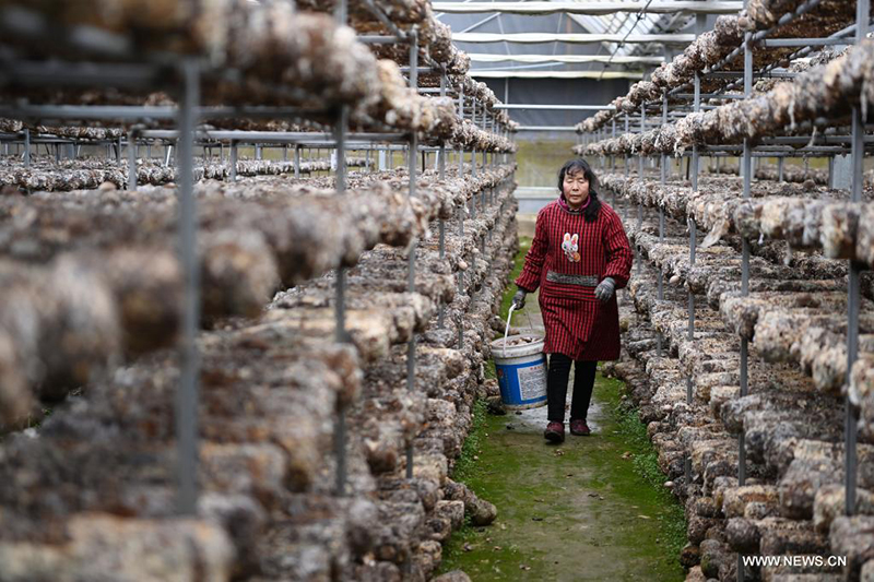 ????? ????? ????? ?????? ????? ??????? ????????? ??? ????? ??????