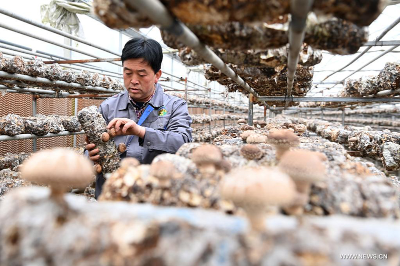 ????? ????? ????? ?????? ????? ??????? ????????? ??? ????? ??????