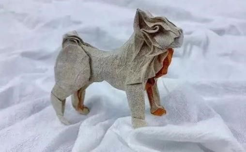 ???? ????? ??????? ???? ??????? ??????? ?? ???????? ?????????? ???????