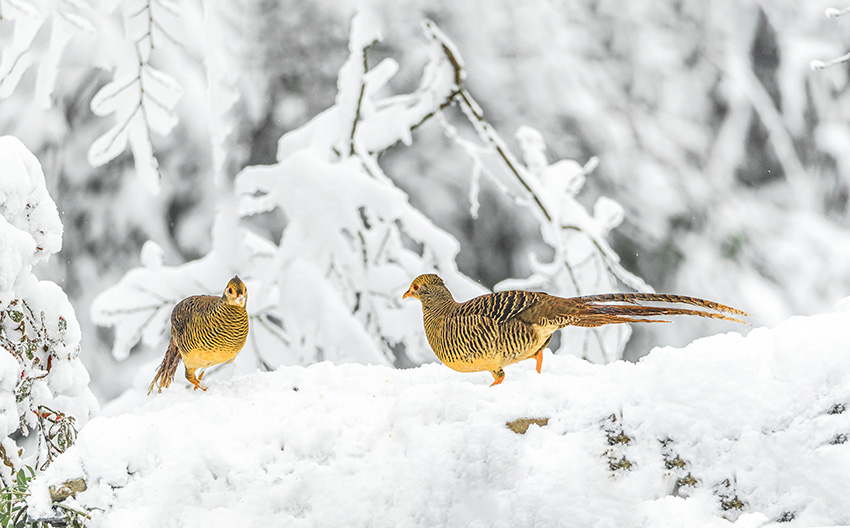 ??????????: ?????? ?????? ???? ????? ?????? ?????? ???????