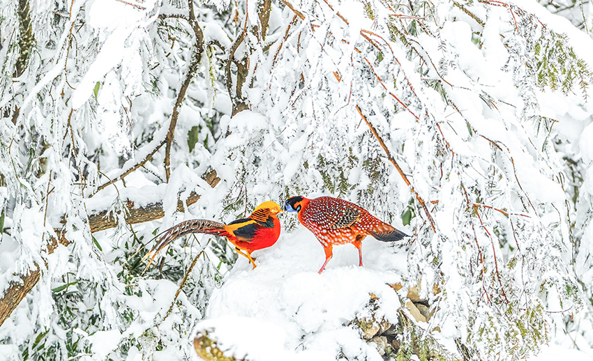 ??????????: ?????? ?????? ???? ????? ?????? ?????? ???????