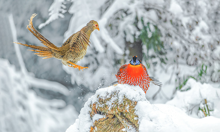 ??????????: ?????? ?????? ???? ????? ?????? ?????? ???????