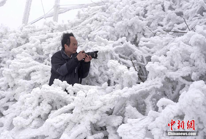 ???????? ???????: ???? ????? ???? ???????? 