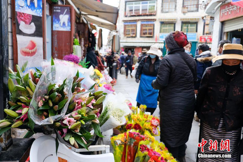  ????? ?????? ??? ??? ????? ??????? ??????? 