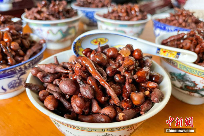  ????? ?????? ??? ??? ????? ??????? ??????? 