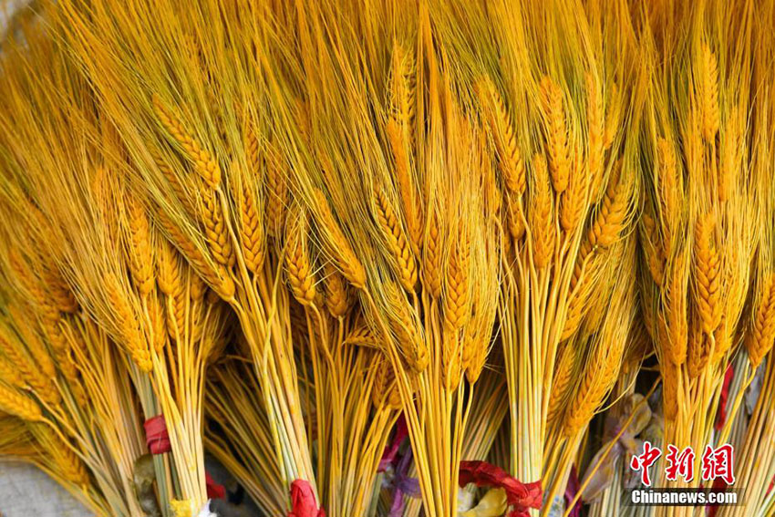  ????? ?????? ??? ??? ????? ??????? ??????? 