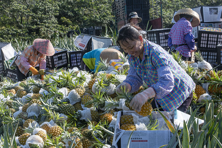 ?????? ???????? ???? ????? ??????