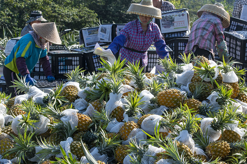 ?????? ???????? ???? ????? ??????