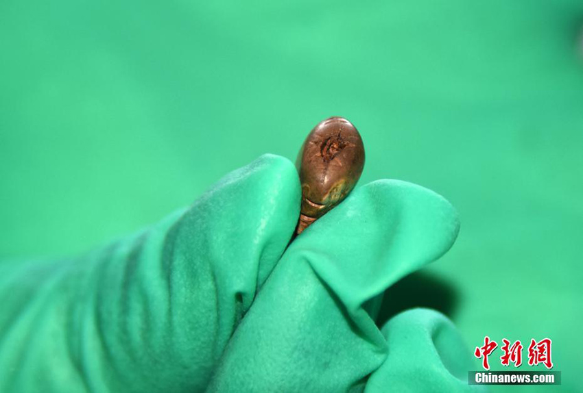 ?????? ???? ???? ????? ??? ??? ????? ??????? ?? ??????? ???????