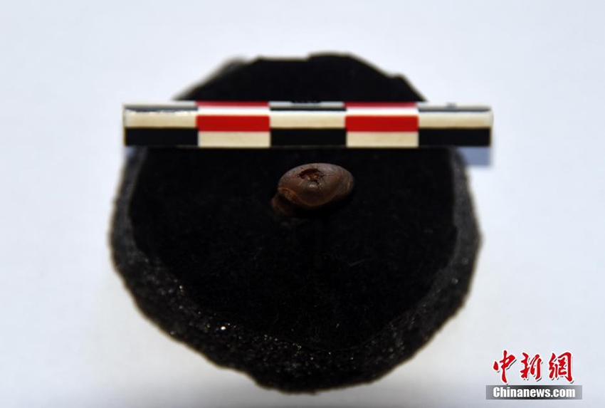 ?????? ???? ???? ????? ??? ??? ????? ??????? ?? ??????? ???????