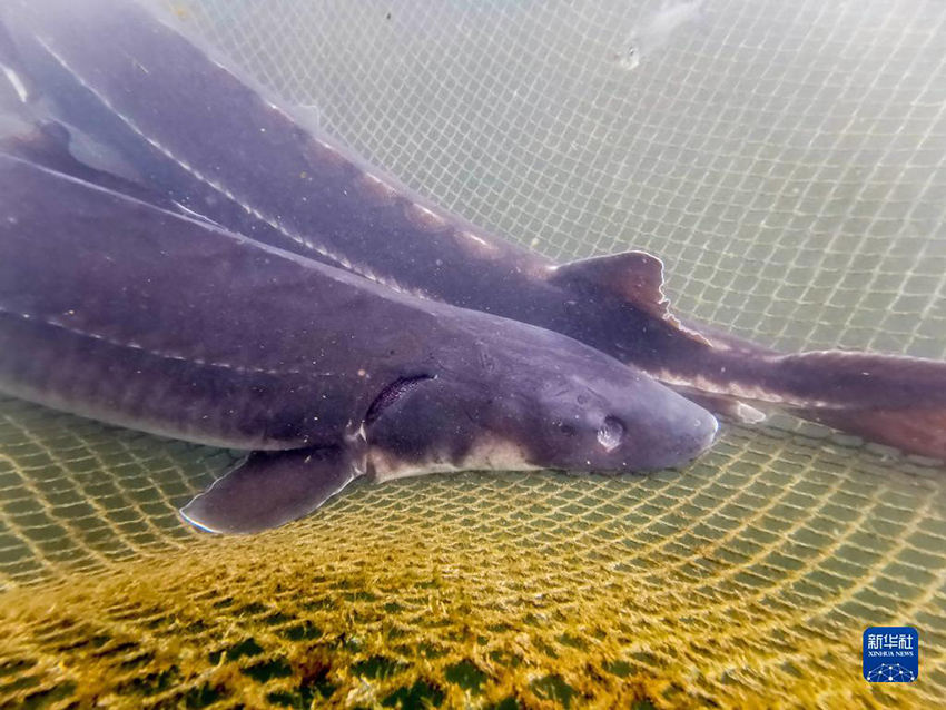 ??????? ??? ??????? ????????? ???? ??? ????????? ????? ??????