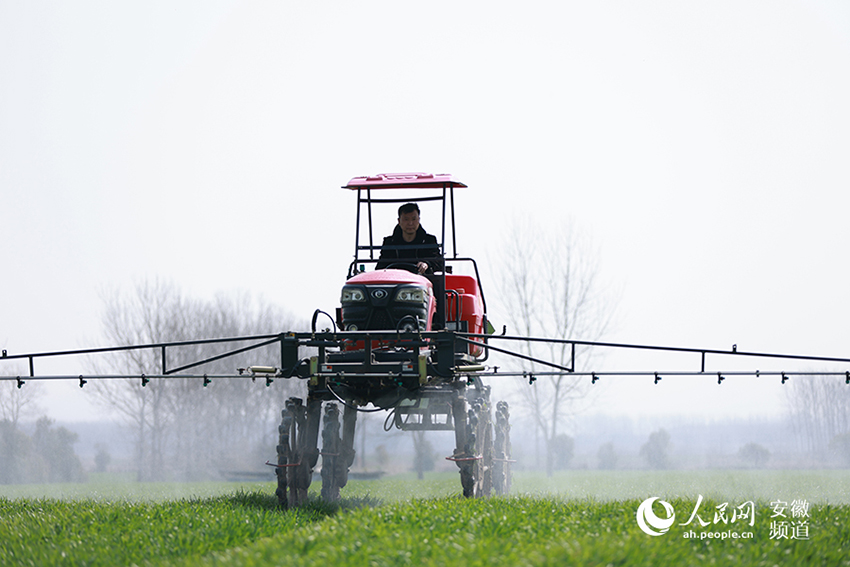 ????? ???? ?????: ????? ?????? ?????? ???? ???? ?????? ?? ????? ???????