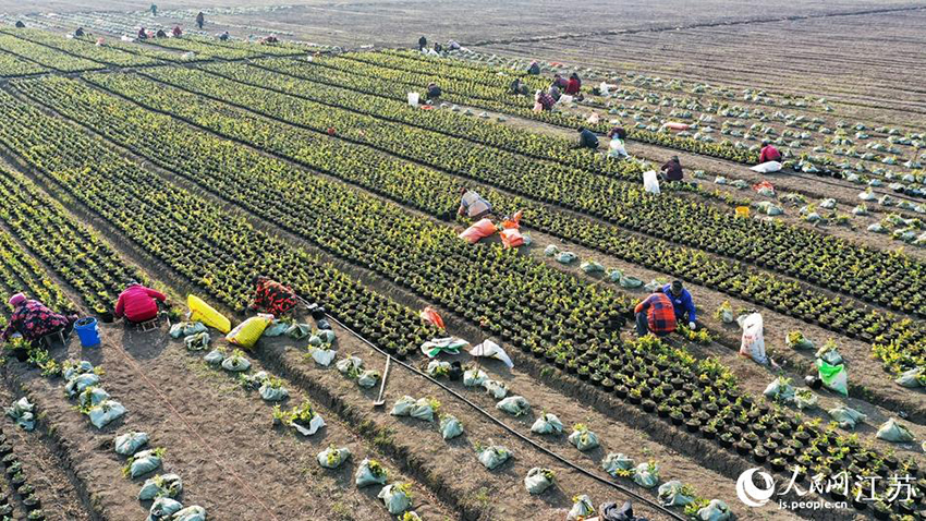 ?????? ? ???????: ????? ????? ????? ??????