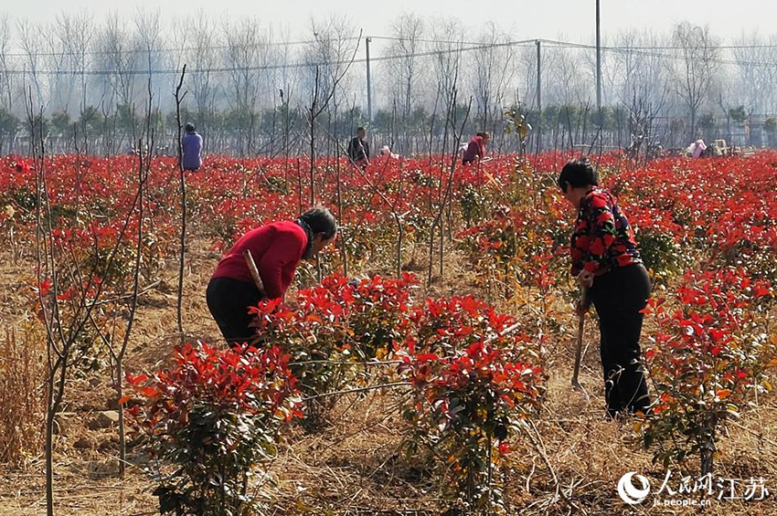 ?????? ? ???????: ????? ????? ????? ??????