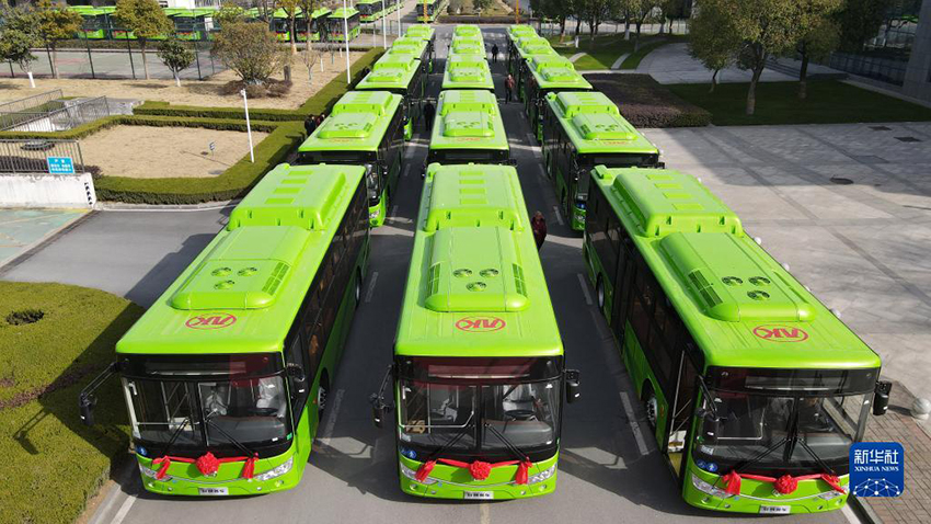 ????? ???? 800 ????? ??? ???????