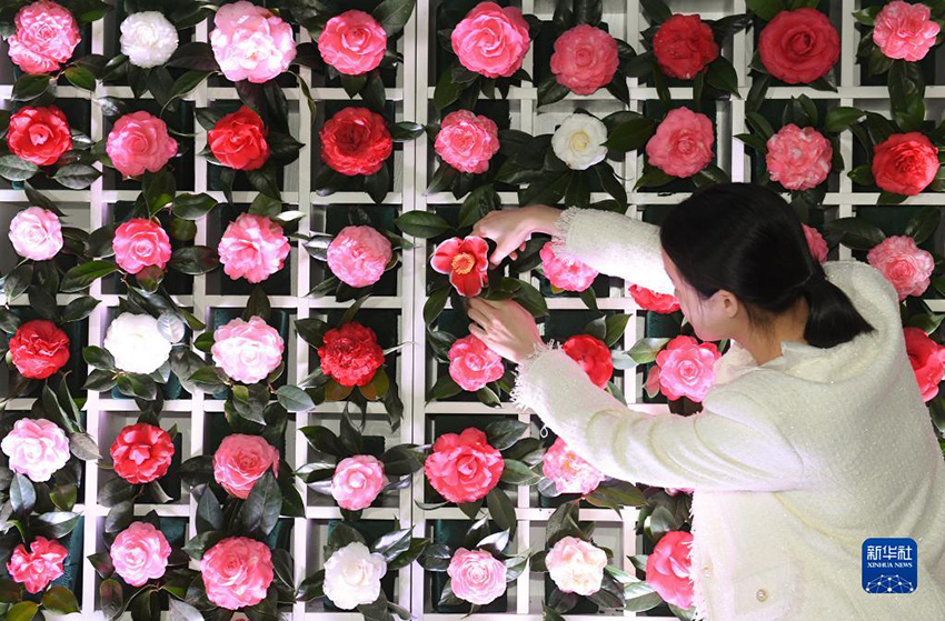 ?? ????? ??????? ?????? ??? ???? ????????? ?? ????? ??????