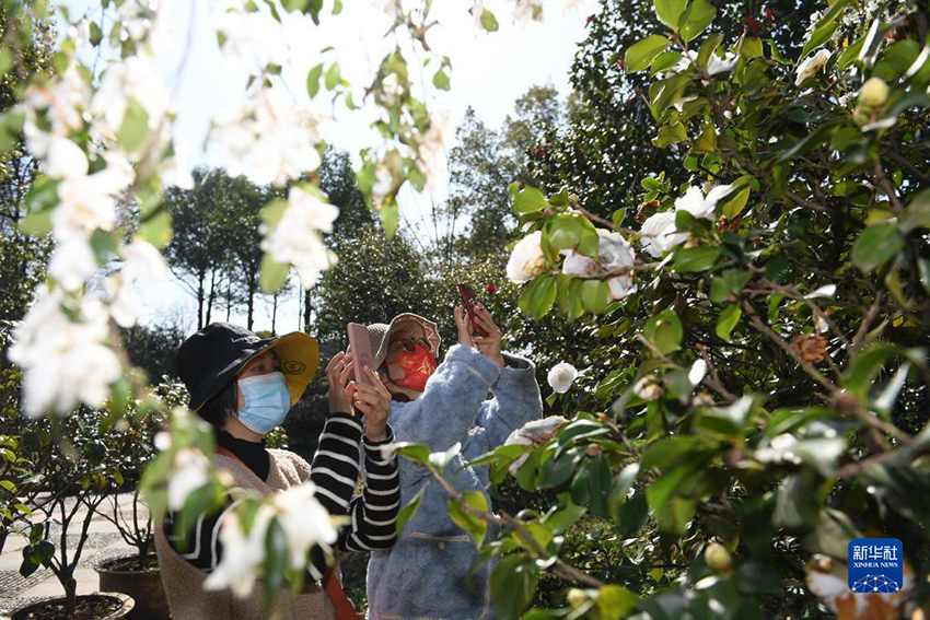 ?? ????? ??????? ?????? ??? ???? ????????? ?? ????? ??????