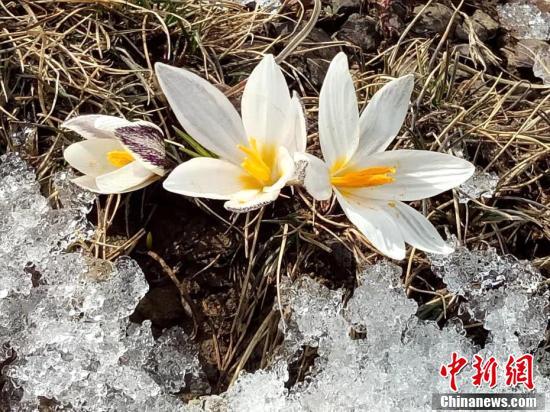 ???? ???????? ????? .. ???? ???? ?? ????? ??????