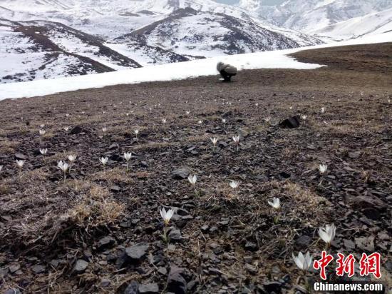 ???? ???????? ????? .. ???? ???? ?? ????? ??????