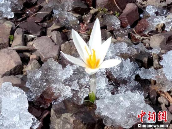 ???? ???????? ????? .. ???? ???? ?? ????? ??????