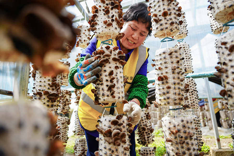 ??????? ??????: ????? ????? ????? ??????