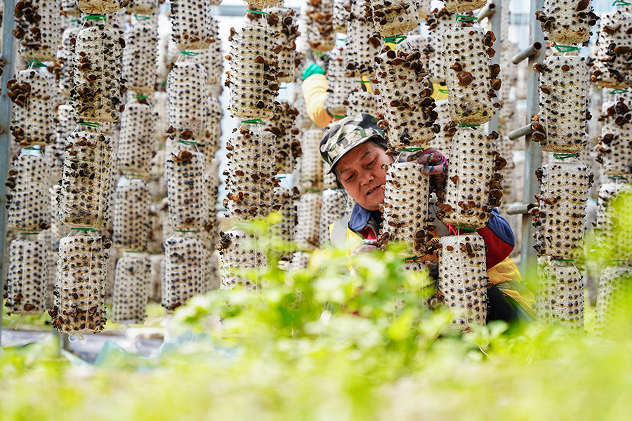 ??????? ??????: ????? ????? ????? ??????