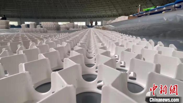 ??? ???? ???? ????? ????? ???? ??? ?????