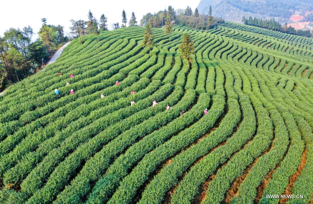 ??? ????? ??????? ?? ?????