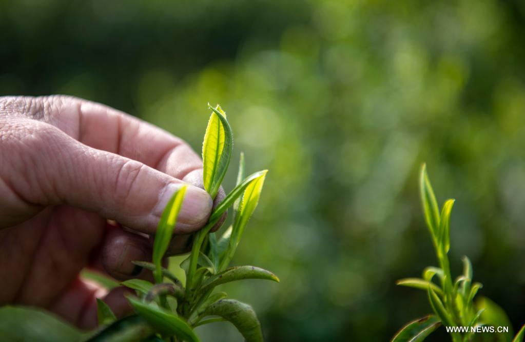 ??? ????? ??????? ?? ?????