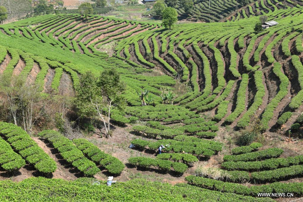 ??? ????? ??????? ?? ?????