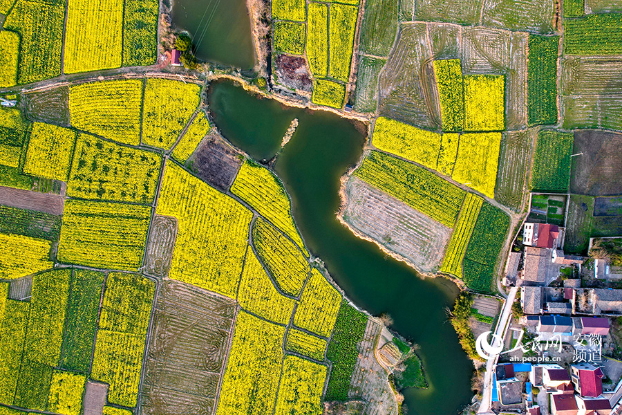 ???????? ? ?????: ????? ???????? ????? ??? ???? ?????