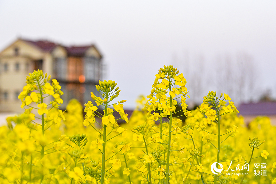 ???????? ? ?????: ????? ???????? ????? ??? ???? ?????