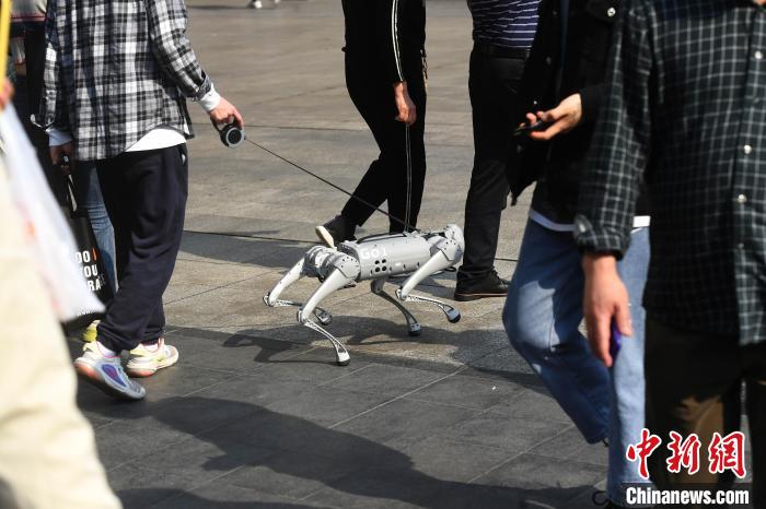 ??? ?? ???? ???? ????? ??? ??????? ??????? ??????