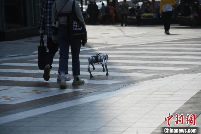 ??? ?? ???? ???? ????? ??? ??????? ??????? ??????