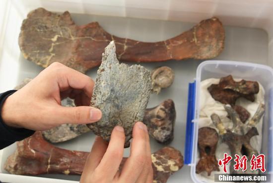 ?????????? ????? ???? ????? ?????????? ??????????? ?? ????