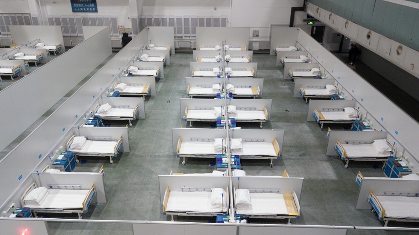 ????? ??????? ????? 6 ???????? ????? ??? ???? ???? ?????-19