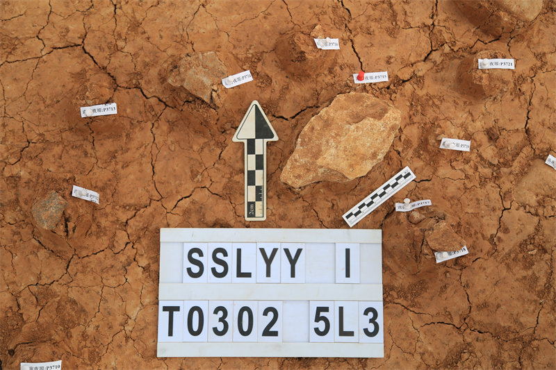 ?????? ???? ?? 12000 ???? ????? ?? ????? ?????? ?????? ?? ???? ???? ?????