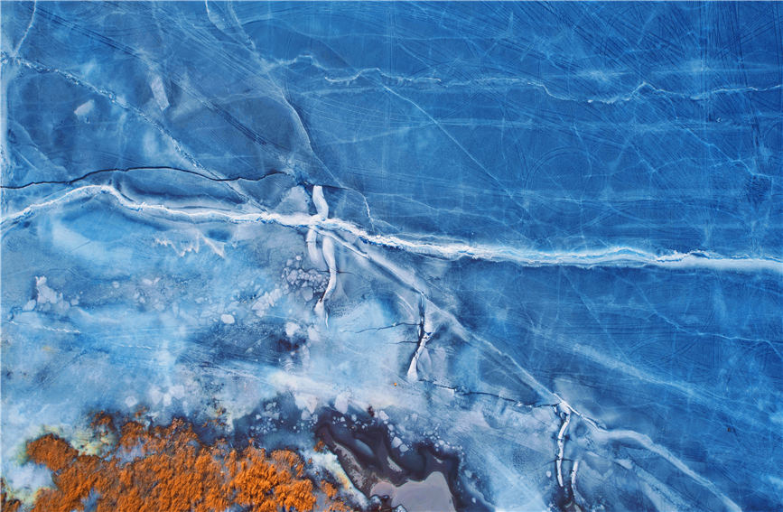 ??? ????? ???? ???? ????? ???? ?? ?????