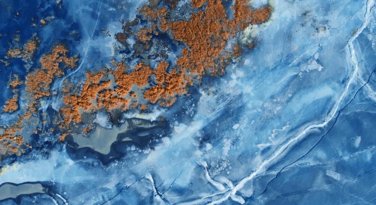 ??? ????? ???? ???? ????? ???? ?? ?????